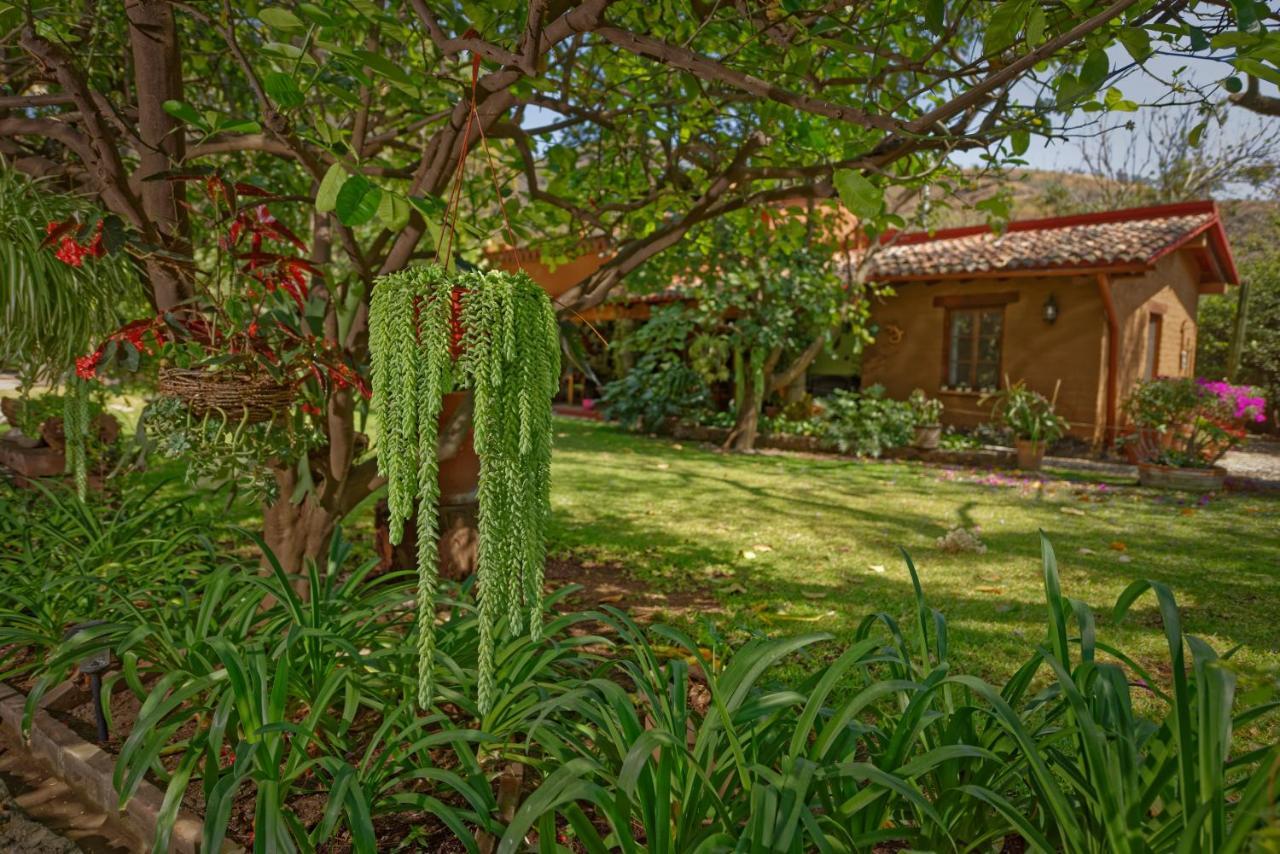 Casa Navacoyan Bed and Breakfast Malinalco Eksteriør billede